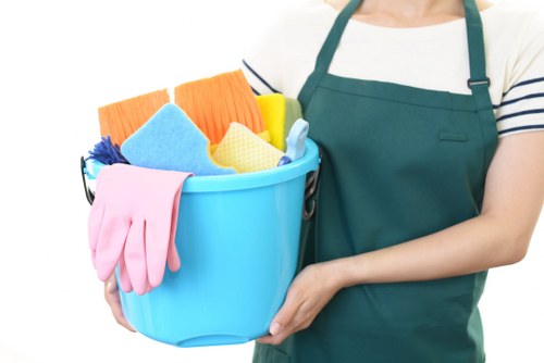 Domestic cleaning tools and tidy living room setup