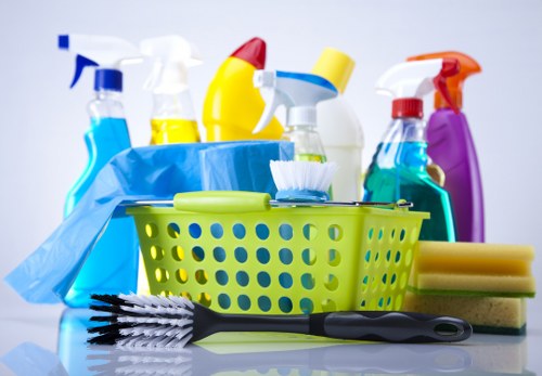 Cleaner dusting and vacuuming a family home