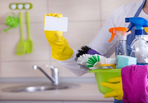 Living room rug cleaning with vacuum and care tools