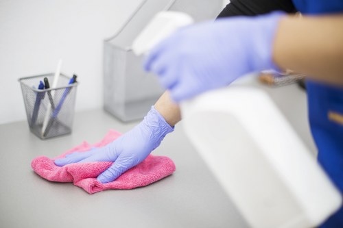 Professional Twickenham cleaners beginning a home cleaning service