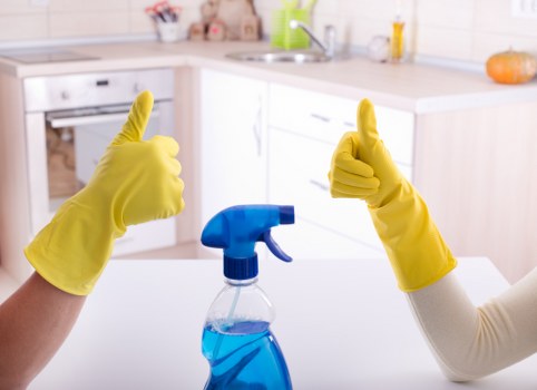 Deep house cleaning in a kitchen and bathroom