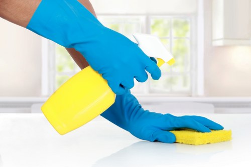 Professionally cleaned rental living room after end of tenancy cleaning