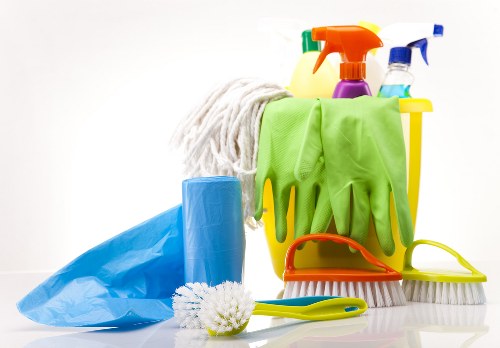 Eco-friendly domestic cleaning supplies on a table