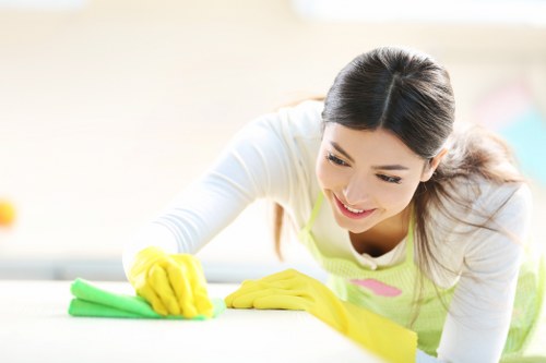 Cleaning cabinets and hidden areas before moving in