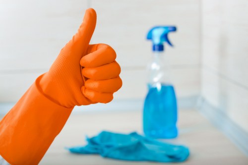 Bathroom sanitation and scrubbing for move out cleaning