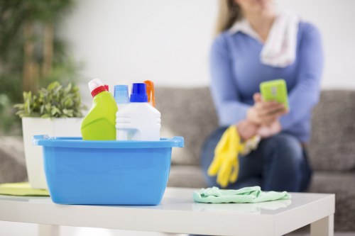 Professional cleaning supplies arranged for house cleaning