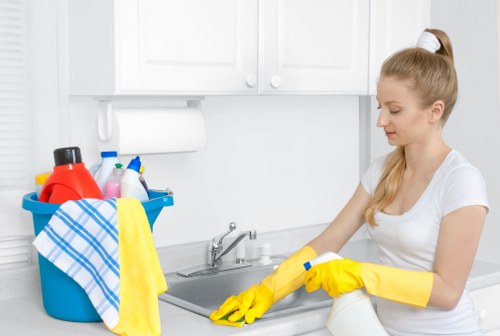 Weekly sofa vacuuming and maintenance routine